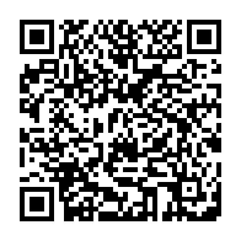 QR code for BMN 133