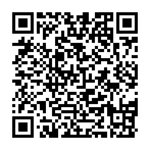 QR code for BNC 493