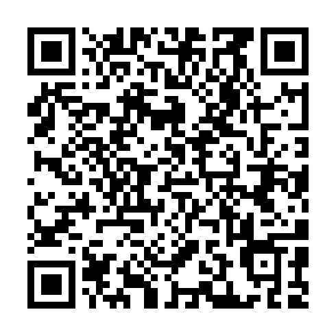 QR code for plate BNR 453