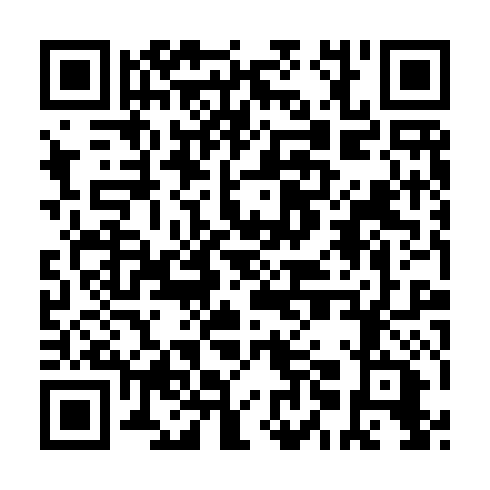 QR code for plate BOI 501