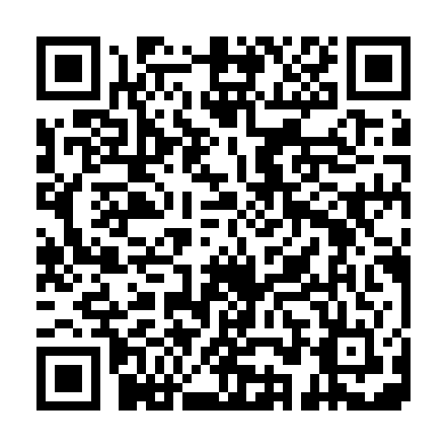 QR code for plate BPP 290