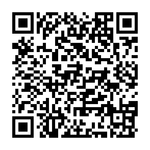 QR code for BRA 303
