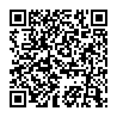 QR code for BRI 991