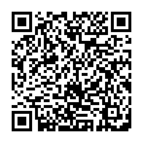 QR code for BSG 313