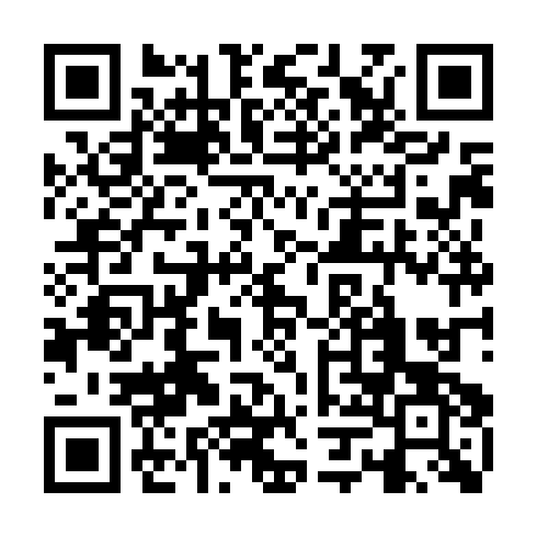 QR code for plate CBG 491