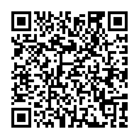 QR code for CCY 295