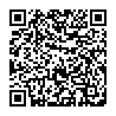 QR code for CEO 295