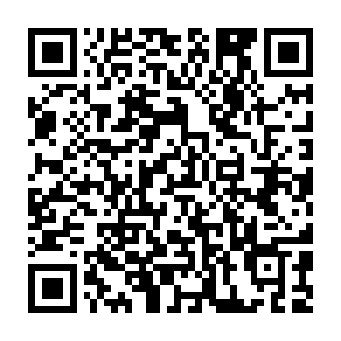 QR code for plate CFM 311