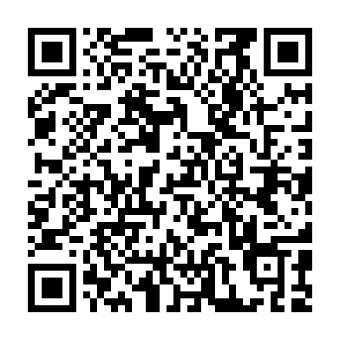 QR code for plate CFX 411