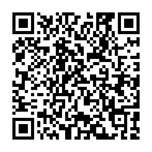 QR code for CHF 729