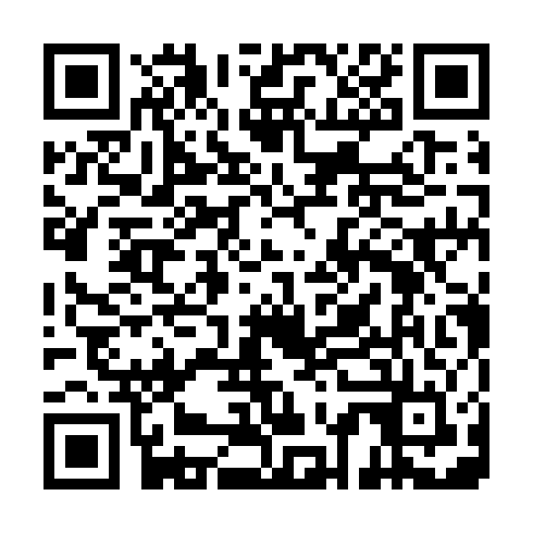 QR code for CHI 241