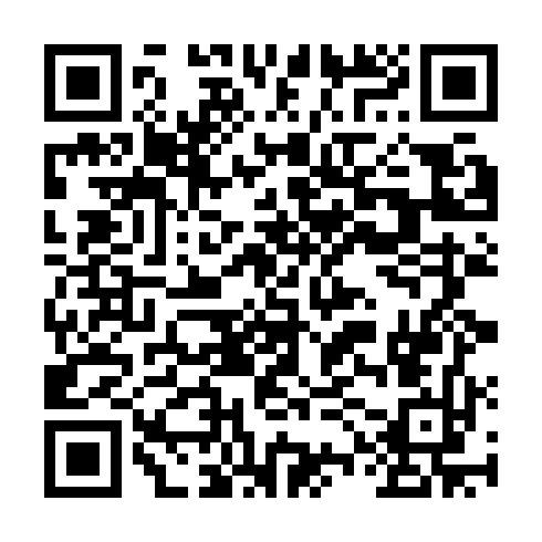 QR code for CHI161