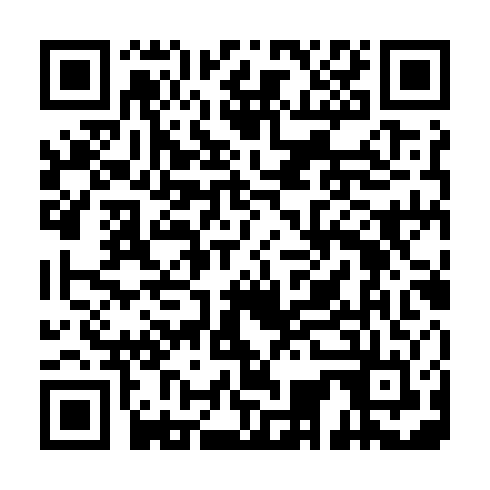 QR code for CHI276