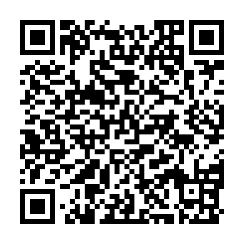 QR code for CHI881