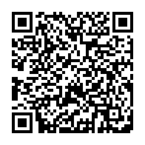 QR code for plate CHQ 599
