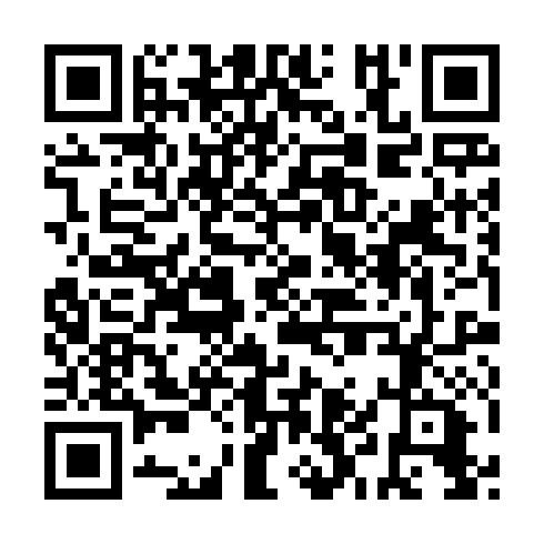 QR code for plate CHW 384