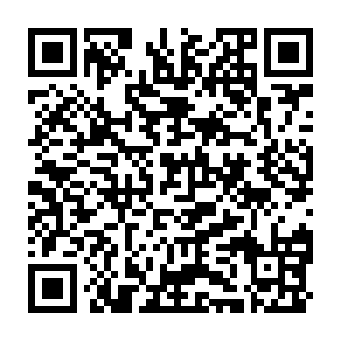 QR code for CHZ951