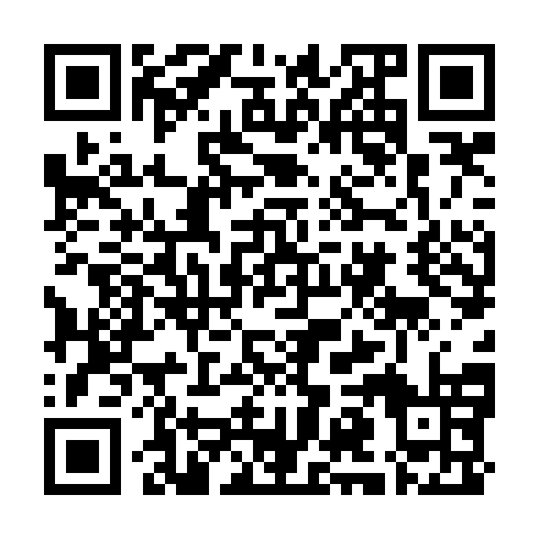 QR code for plate CMZ 920