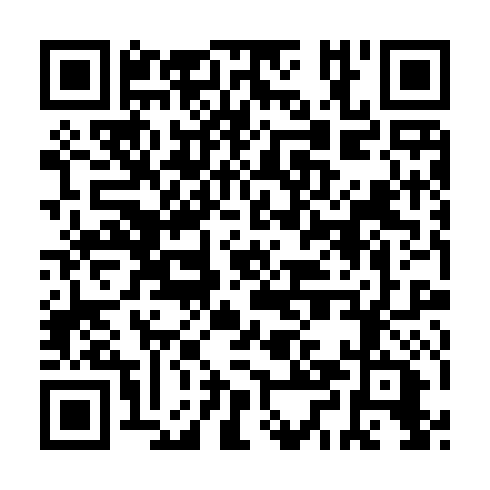 QR code for plate CPN 382