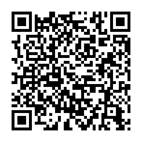 QR code for CTQ 993