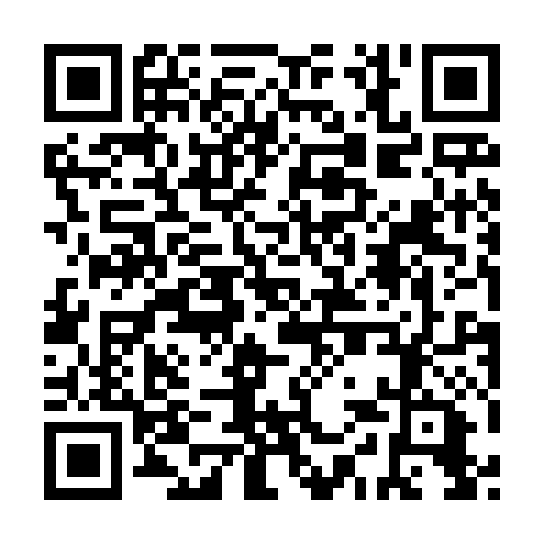 QR code for plate CYK 028