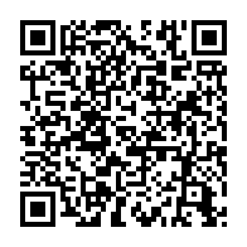 QR code for CYR 919