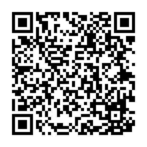 QR code for CZG381