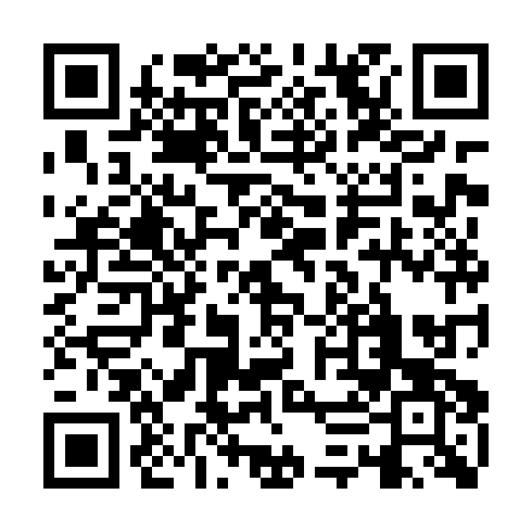 QR code for plate CZH 376