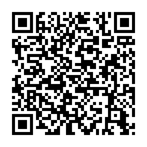 QR code for DAI 028
