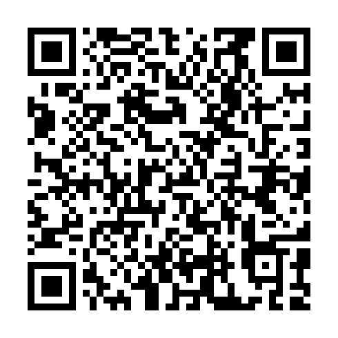 QR code for DDG 411