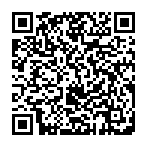 QR code for DDI 497