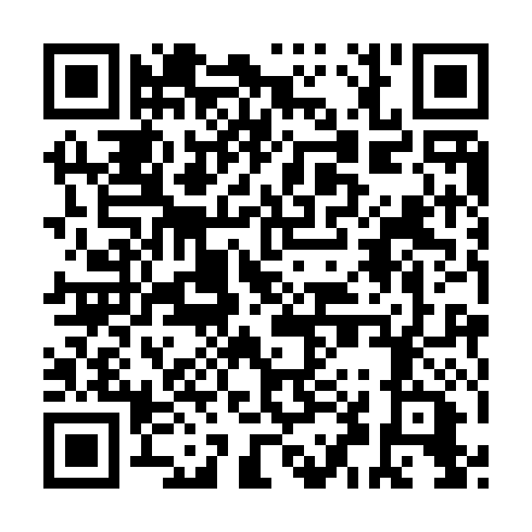 QR code for DDY 493