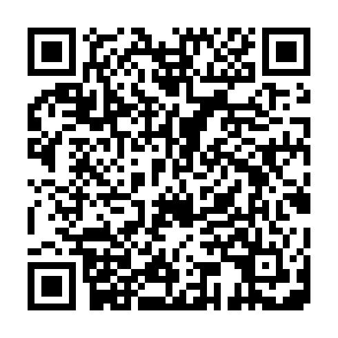 QR code for DET 233