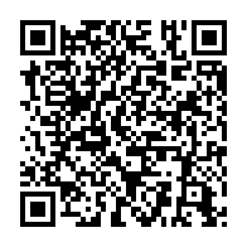 QR code for DFN 393