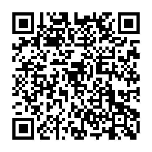 QR code for DGG 383