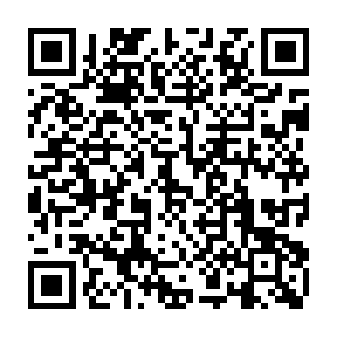 QR code for DGM 868