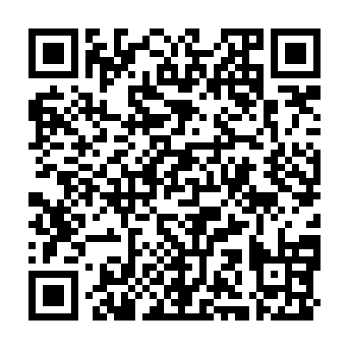 QR code for plate DHL 920