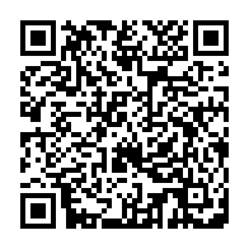 QR code for DHO 163