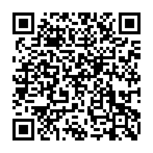 QR code for DHS 595
