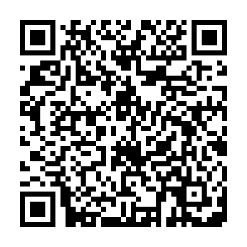 QR code for plate DHS 273