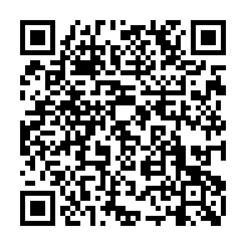 QR code for DIE333