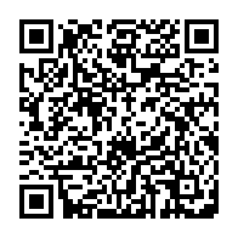 QR code for DIG 953