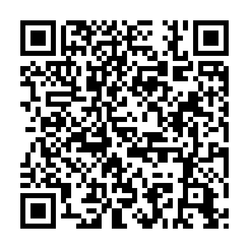 QR code for plate DIG 667