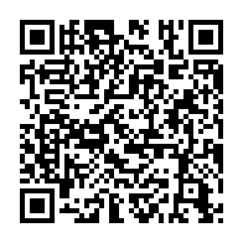 QR code for DII333