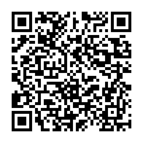 QR code for plate DIM 029