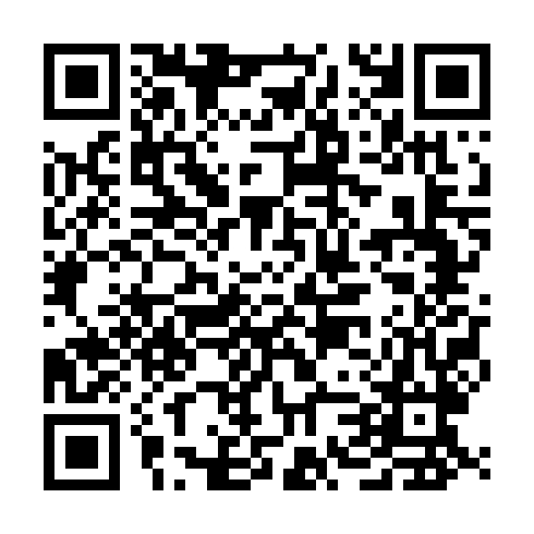 QR code for DIS 336