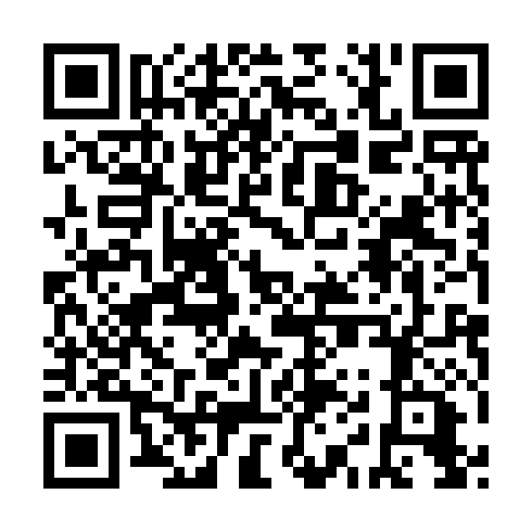 QR code for DIY 419
