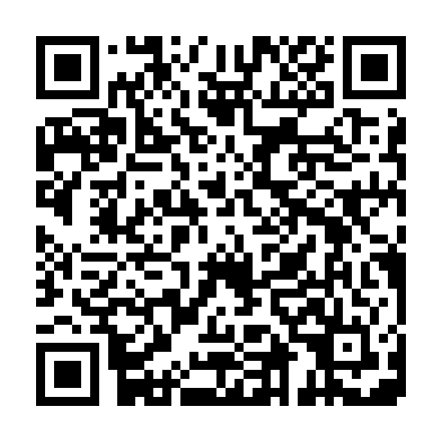 QR code for DIZ 384
