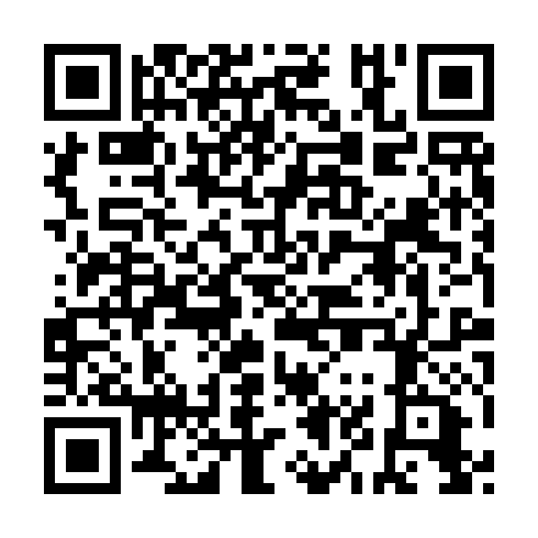 QR code for plate DJX 301