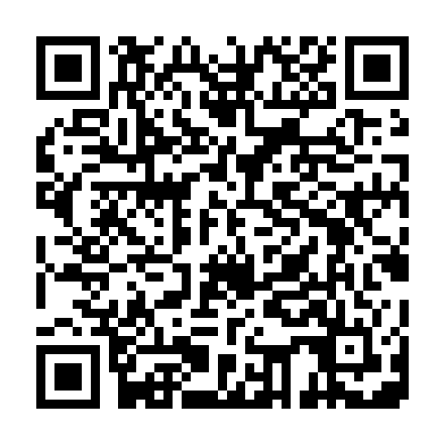 QR code for plate DLN 033